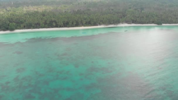 白い砂浜の上を飛ぶ熱帯海ワブ村ケイ諸島マルクインドネシア緑の森ターコイズ水サンゴ礁 ネイティブシネのようなD Logカラープロファイル — ストック動画