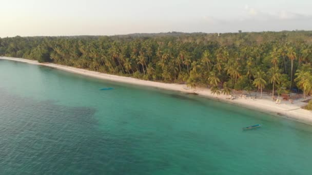 未受污染的白沙滩日落在瓦布凯群岛马鲁库印尼棕榈树林绿松石水无人 原生电影式 Log 颜色配置文件 — 图库视频影像