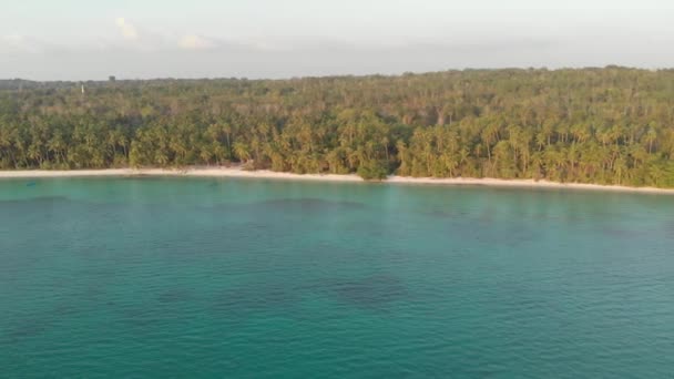 航空写真 ワブケイ諸島マルクインドネシアヤシの木の森ターコイズブルーウォーターで汚染されていない白い砂浜の夕日 ネイティブシネのようなD Logカラープロファイル — ストック動画