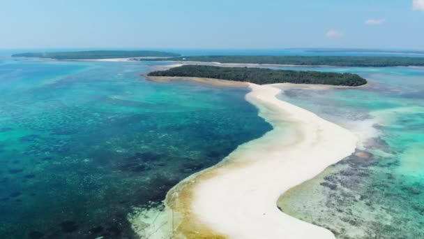 Воздушный Тропический Пляж Острова Карибского Моря Риф Белый Песок Пляж — стоковое видео