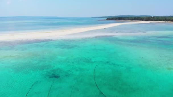 Воздушный Тропический Пляж Острова Карибского Моря Риф Белый Песок Пляж — стоковое видео