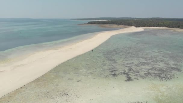 航空写真 熱帯ビーチアイランドリーフカリブ海白砂ビーチスネーク島 インドネシアモルッカス諸島 ケイ諸島 バンダ海 旅行先 ネイティブシネのようなD Logカラープロファイル — ストック動画