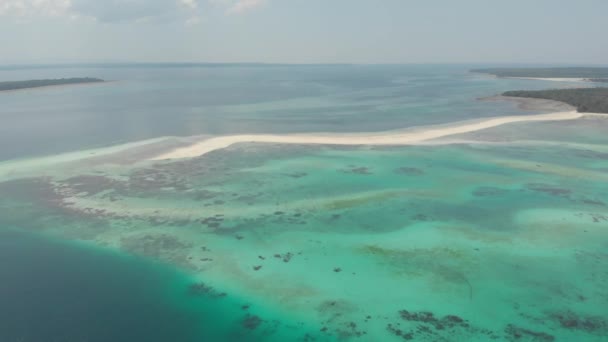 航空写真 熱帯ビーチアイランドリーフカリブ海白砂ビーチスネーク島 インドネシアモルッカス諸島 ケイ諸島 バンダ海 旅行先 ネイティブシネのようなD Logカラープロファイル — ストック動画