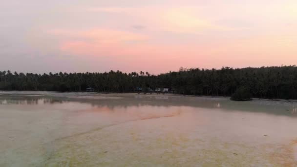 Воздушный Незагрязненный Пляжный Закат Островах Охойдертавун Кей Малуку Индонезия Пальмовый — стоковое видео