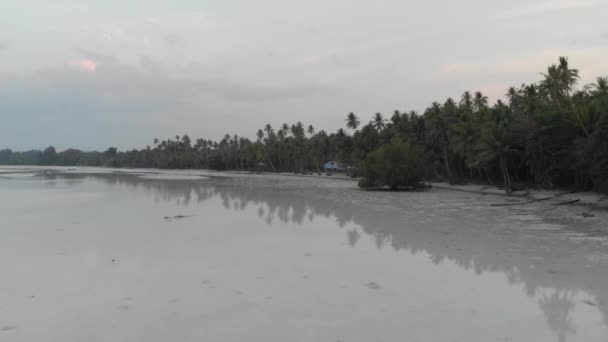 オオイダートウーンケイ諸島マルクインドネシアヤシの木のサンゴ礁干潮で汚染されていない海岸線のビーチの夕日 ネイティブシネのようなD Logカラープロファイル — ストック動画