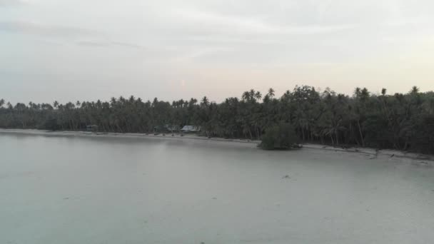 オオイダートウーンケイ諸島マルクインドネシアヤシの木のサンゴ礁干潮で汚染されていない海岸線のビーチの夕日 ネイティブシネのようなD Logカラープロファイル — ストック動画