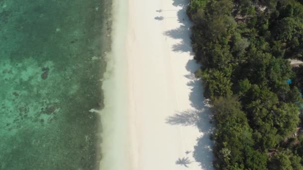 白い砂浜の上を飛ぶ熱帯海パシルパンジャンケイ諸島マルクインドネシア緑の森ターコイズウォーターサンゴ礁 ネイティブシネのようなD Logカラープロファイル — ストック動画