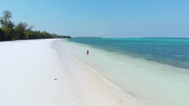 空中スローモーション 白い砂浜の上を歩く女性は 白い砂浜ターコイズウォーターサンゴ礁パシルパンジャンケイ諸島マルクモルッカス諸島インドネシア — ストック動画
