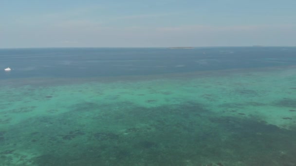 航空写真 熱帯海サンゴ礁の上を飛ぶパシルパンジャンケイ諸島マルクインドネシア緑林白砂浜 ネイティブシネのようなD Logカラープロファイル — ストック動画