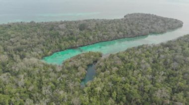 Hava: Bair Adası mini Raja Ampat Endonezya Moluccas Kei Adaları seyahat hedef tropikal deniz bozulmamış kıyı şeridi yağmur ormanları turkuaz lagün üzerinde uçan. Yerli cinelike D-log renk profili