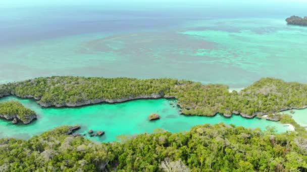 航空写真 ベア島ミニラジャアンパインドネシアモルッカスケイ諸島の熱帯海の自然のままの海岸線の熱帯雨林ターコイズラグーンの上を飛ぶ — ストック動画