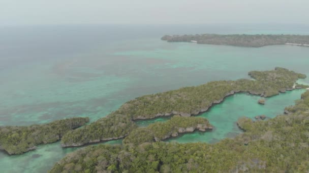 航空写真 ベア島ミニラジャアンパインドネシアモルッカスケイ諸島の旅行先で熱帯海の自然のままの海岸線の熱帯雨林ターコイズラグーンの上を飛ぶ ネイティブシネのようなD Logカラープロファイル — ストック動画