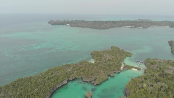 航空写真 ベア島ミニラジャアンパインドネシアモルッカスケイ諸島の旅行先で熱帯海の自然のままの海岸線の熱帯雨林ターコイズラグーンの上を飛ぶ ネイティブシネのようなD Logカラープロファイル — ストック動画