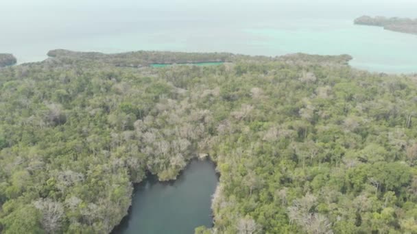 Aérea Volando Sobre Mar Tropical Prístino Costa Selva Tropical Laguna — Vídeos de Stock