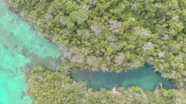 航空写真 ベア島ミニラジャアンパインドネシアモルッカスケイ諸島の旅行先で熱帯海の自然のままの海岸線の熱帯雨林ターコイズラグーンをトップダウン ネイティブシネのようなD Logカラープロファイル — ストック動画