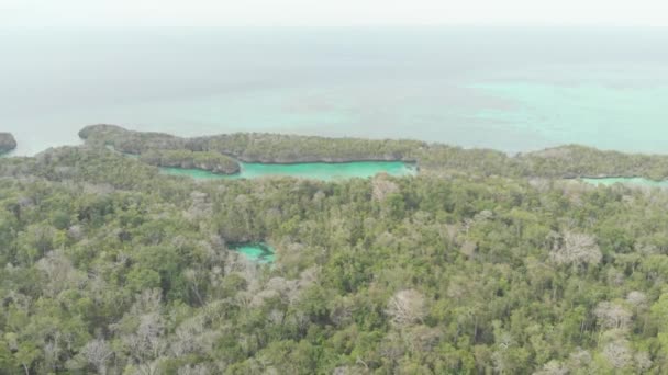 Aerial Flying Tropical Sea Pristine Coastline Rainforest Turquoise Lagoon Bair — Stock Video
