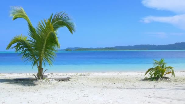日当たりの良い熱帯ビーチカリブ海ヤシの木は プラウ テイリャナ バニャク諸島 スマトラ インドネシアのターコイズブルーの水白い砂の海岸線 — ストック動画