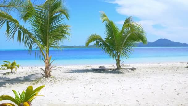 Playa Tropical Soleada Palmeras Marinas Caribeñas Aguas Turquesas Costa Arena — Vídeo de stock