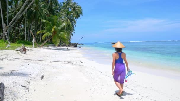 Yavaş Hareket Pulau Tailana Banyak Adaları Sumatra Endonezya Arka Görüşte — Stok video