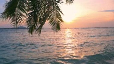 Yavaş hareket: Pulau Tailana, Banyak Adaları, Sumatra, Endonezya gün batımı tropikal plaj hindistan cevizi palmiye ağacı frond turkuaz su