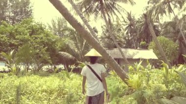Yavaş hareket Pov: güneşli tropikal orman palmiye ağaçları yemyeşil bitki örtüsü turistik tatil bungalov Sumatra Endonezya arka görünümü üzerinde yürüyüş geleneksel şapka ile kadın