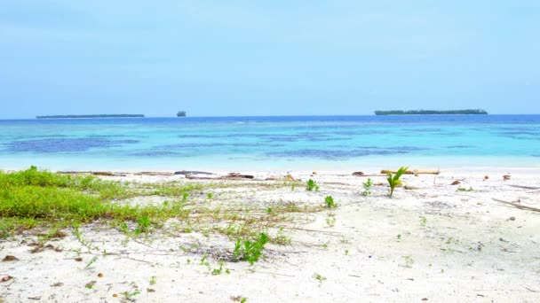 Солнечный Тропический Пляж Карибские Морские Пальмы Бирюзовая Вода Белый Песок — стоковое видео