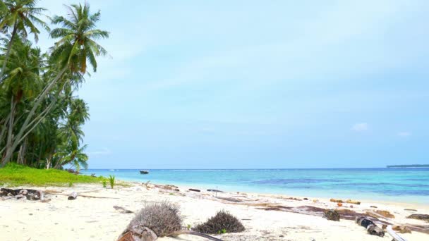 Slunná Tropická Pláž Karibských Mořských Palem Tyrkysově Bílé Písečné Pobřeží — Stock video