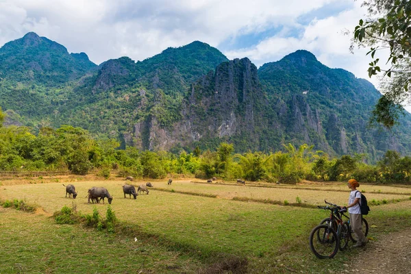 Dağ bisikleti süren kadın, toprak yolda Vang Vieng 'in çevresindeki manzaralı arazide Laos Asya kaya zirveleri yeşil vadide geziyor.