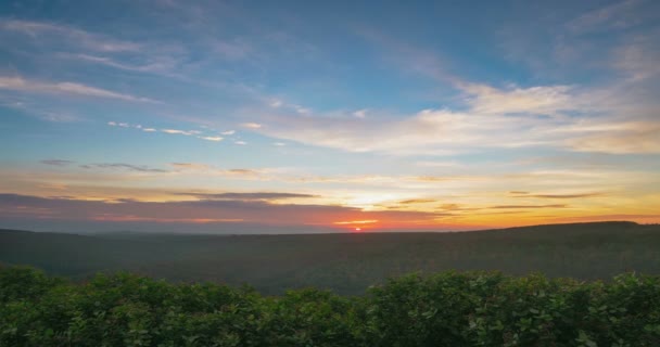 Zeitraffer Dramatischer Sonnenuntergang Über Gummi Cashewbäumen Industrielle Plantagenwirtschaft Banlung Ratanakiri — Stockvideo