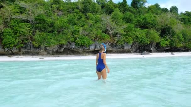 Mulher Segurando Equipamento Snorkel Andando Ensolarada Praia Tropical Caribe Mar — Vídeo de Stock
