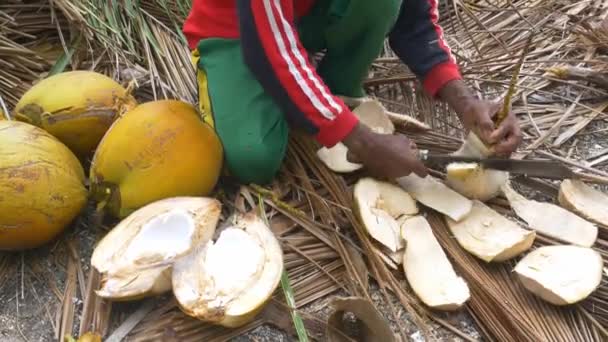 Неузнаваемый Индонезийский Мужчина Очищает Резку Желтого Кокоса Мачете Нож Пальмовых — стоковое видео