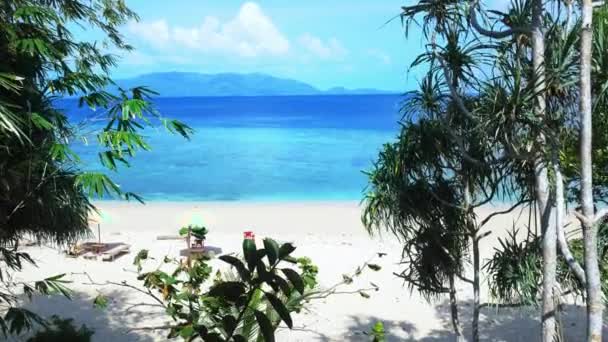 阳光明媚的热带海滩加勒比海棕榈树绿松石水白沙海岸线旅游度假村在普劳哈塔班达群岛莫卢卡斯马鲁库印度尼西亚 — 图库视频影像