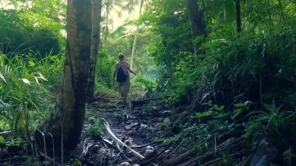 濃い熱帯ジャングルのヤシの木を歩く女性緑豊かな火山植生観光リゾートバンガロープラウ グヌンアピ島バンダ島インドネシアリアビュー — ストック動画