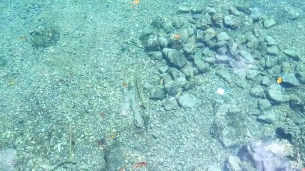 Spazzatura Galleggiante Sulla Superficie Dell Acqua Nel Mare Tropicale Trasparente — Video Stock