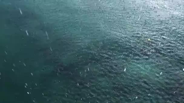 Raining Water Surface Tropical Rain Caribbean Sea Monsoon Season — Stock Video
