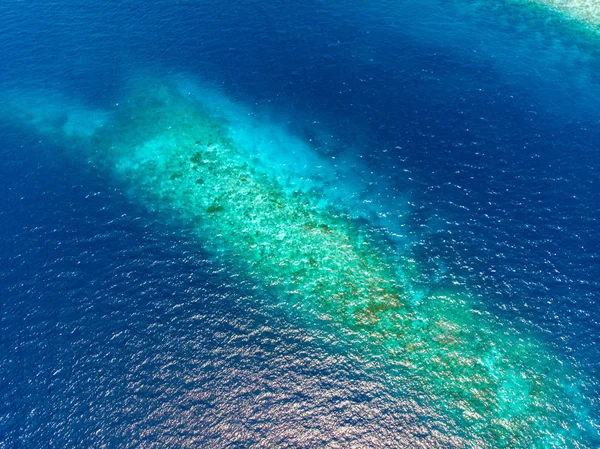 Arriba arriba abajo arrecife de coral mar tropical caribeño, agua azul turquesa. Indonesia archipiélago de Wakatobi, parque nacional marino, destino turístico de viaje en barco de buceo — Foto de Stock