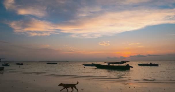 时间流逝：热带海滩的日落和大海五颜六色的戏剧性天空移动云和船。基岛马鲁古 印度尼西亚旅游目的地 — 图库视频影像