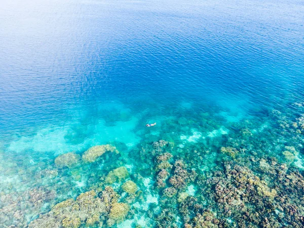 Flyg uppifrån och ner människor snorkla på korallrev tropiska karibiska havet, turkos blått vatten. Indonesien Wakatobi skärgård, marina nationalpark, turist dykning resmål — Stockfoto