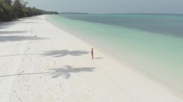 Aérea Mujer Relajante Playa Arena Blanca Aguas Turquesas Costa Tropical — Vídeos de Stock