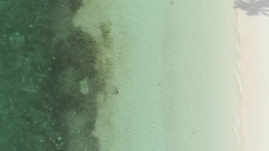 Havadan yukarıdan aşağıya: Kadın turkuaz su tropikal deniz Pasir Panjang Kei Adaları Endonezya cennet seyahat hedef yüzme. Yerli cinelike D-log renk profili