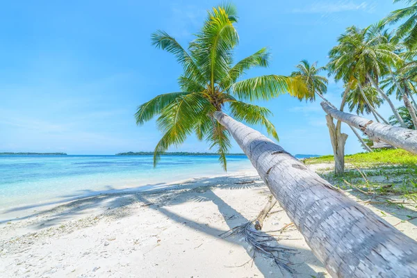 Biały piasek plaża z palmami kokosowymi turkusowa niebieska rafa koralowa, tropikalny cel podróży, pustynna plaża nikt - Banyak Islands, Sumatra, Indonezja — Zdjęcie stockowe