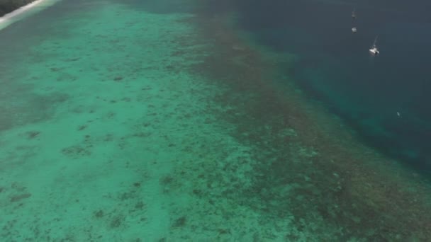 Aéreo Sobrevoando Praia Tropical Recife Coral Turquesa Água Verde Floresta — Vídeo de Stock