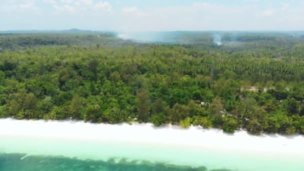 Antenn Flyga Över Tropiska Stranden Korallrev Turkos Vatten Grön Skog — Stockvideo