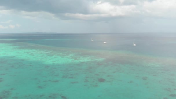 Antenne Fliegen Über Tropischen Strand Korallenriff Türkis Wassergrünen Wald Unberührte — Stockvideo