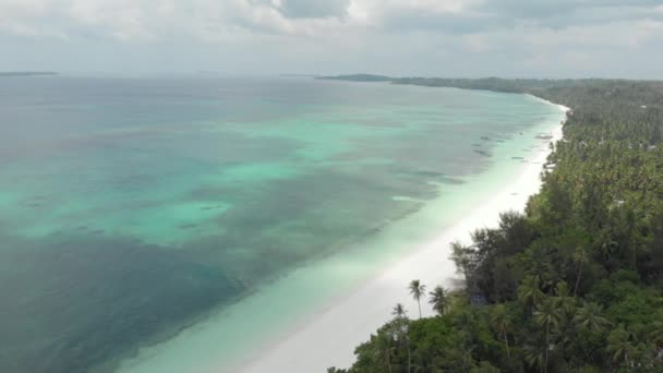 Aéreo Sobrevoando Praia Tropical Recife Coral Turquesa Água Verde Floresta — Vídeo de Stock