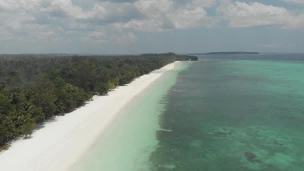 Luchtfoto Vliegen Tropisch Strand Koraal Reef Turquoise Water Groen Bos — Stockvideo