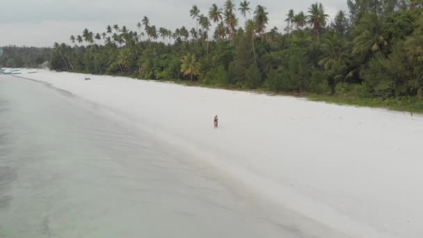情侣在度假漫步在异国情调的海滩浪漫天空在日落帕西尔潘扬基群岛莫卢卡斯马鲁库印度尼西亚 旅行的人的关系 原生电影式 Log 颜色配置文件 — 图库视频影像