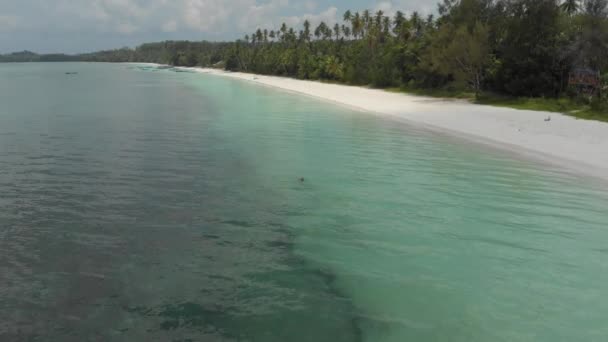 Aérienne Femme Nageant Dans Eau Turquoise Coucher Soleil Plage Sable — Video