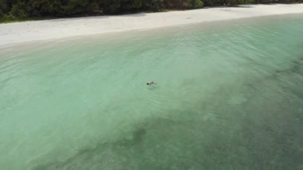 夕日の白い砂浜の熱帯海岸線でターコイズブルーの水で泳ぐ女性パシルパンジャンケイ諸島インドネシアの楽園の旅行先 ネイティブシネのようなD Logカラープロファイル — ストック動画