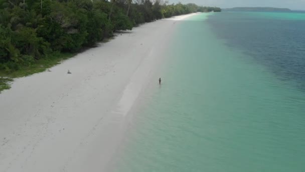 白い砂浜のターコイズブルーの水熱帯海岸線パシルパンジャンケイ諸島インドネシアモルッカスインドネシアを歩く女性 ネイティブシネのようなD Logカラープロファイル — ストック動画